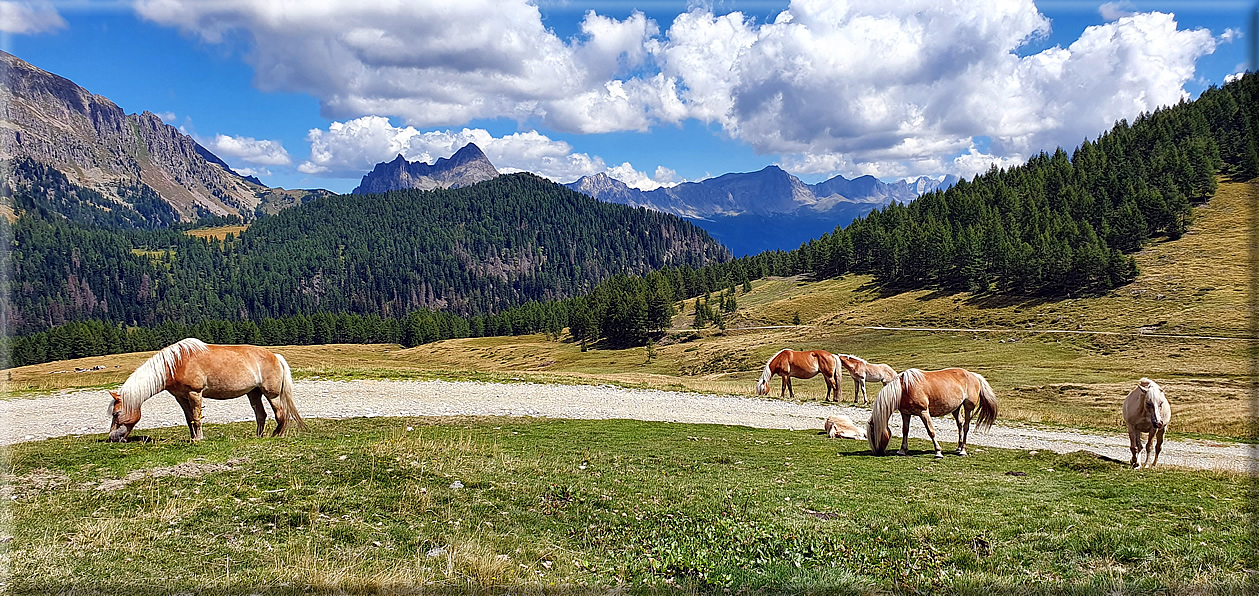 foto Dai Laghi di Rocco al Passo 5 Croci